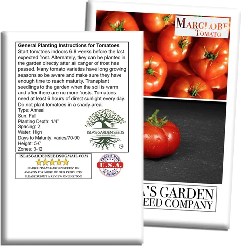 Miniatura 7 de Semillas de tomate Marglobe (Solanum lycopersicum) – Más de 500 semillas sin OMG y reliquias de Isla's Garden Seeds, variedad roja clásica con rico