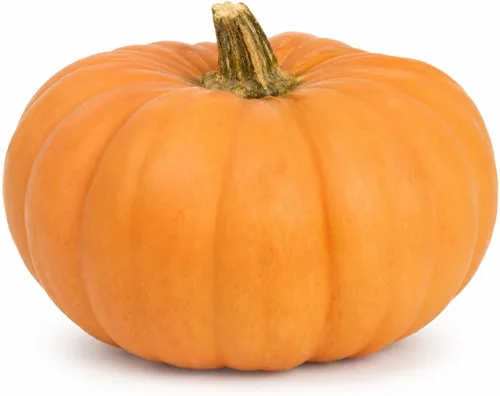 Semillas de calabaza, más de 25 pasteles de azúcar, reliquia, semillas sin OMG, Cucurbita Pepo