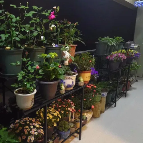 Miniatura 3 de Zhongma Soporte resistente de 3 niveles para plantas que ahorra espacio, soporte para plantas resistente para el hogar, interior y exterior, 35.43