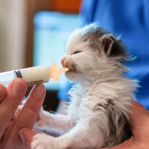 Miniatura 2 de Jeringa de alimentación de mascotas con pezón, herramientas de alimentación de silicona para gatitos y cachorros, jeringa de alimentación para gatos