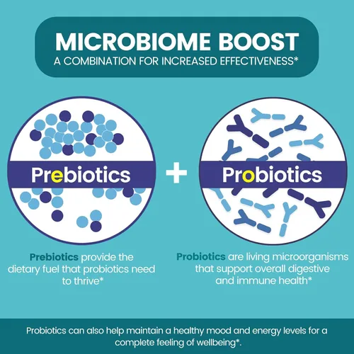 Miniatura 4 de Zentastic Suplemento de probióticos y prebióticos – 50 mil millones de UFC – para hombres y mujeres, salud inmune y digestiva – 16 cepas – estable