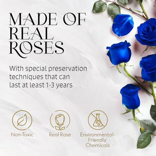 Miniatura 2 de GLAMOUR BOUTIQUE Rosas eternas preservadas en una caja, flores para siempre, rosa para siempre en una caja para esposa o ella, regalo de flores Azul