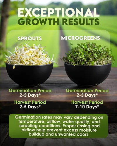 Miniatura 5 de Nature Jims Sprouts Semillas de brócoli orgánicas para germinar, certificadas sin OMG, ricas en sulforafano, semillas microverdes de crecimiento
