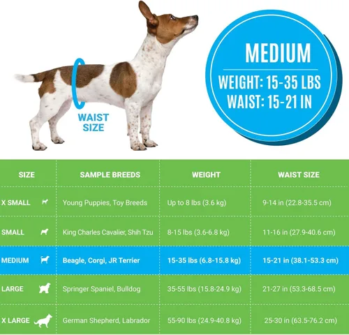Miniatura 3 de Bodhi Dog Pañales desechables para perros machos - Superabsorbentes, impermeables, ajustables, diseño cómodo, control avanzado de la humedad e