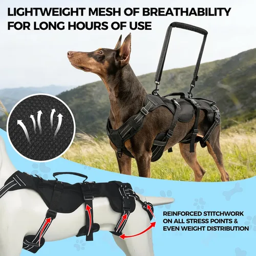 Miniatura 3 de BINGPET Arnés de elevación para perros, cabestrillo de cuerpo completo para perros grandes y medianos con soporte para patas traseras, arnés