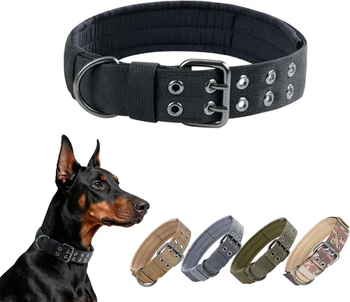 EXCELLENT ELITE SPANKER Collar militar para perro de 1.5 pulgadas de ancho, anillo en D de metal ajustable y hebilla para perros medianos y grandes
