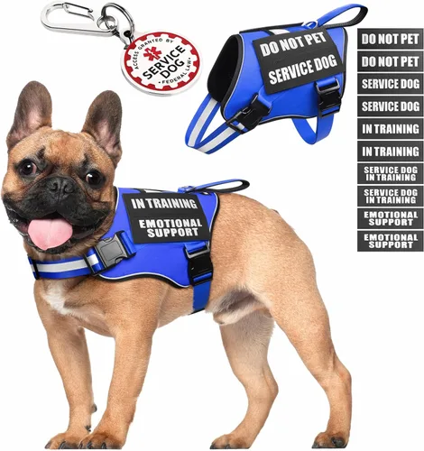 Miniatura 26 de Arnés de chaleco para perro de servicio+Etiqueta de identificación+10 parches, etiqueta de perro de servicio metálica y chaleco reflectante de apoyo