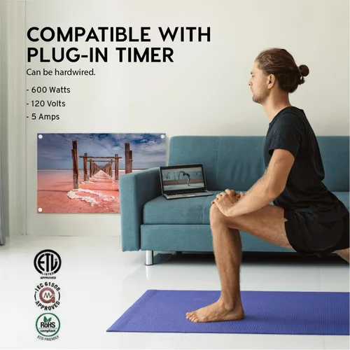 Miniatura 5 de EconoHome Panel de calentador de espacio de montaje en pared, con termostato, calentador de convección de 600 vatios, ideal para habitaciones de 200