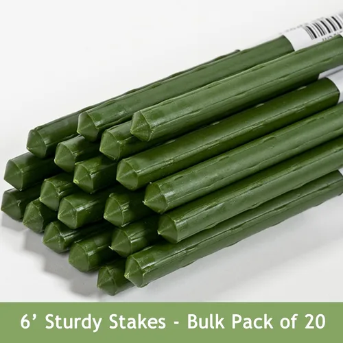 Miniatura 2 de Gardener's Blue Ribbon ST6BULK - Estacas resistentes a granel, 6 pies (paquete de 20)