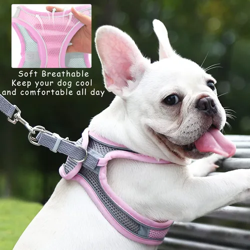 Miniatura 3 de Arnés sin tirones para perros pequeños, de malla transpirable, reflectante, para cachorros, gatos, chaleco ajustable para animales pequeños, conejo