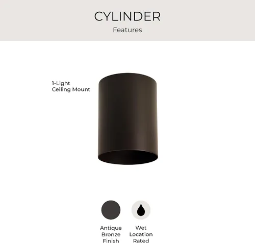 Miniatura 3 de Progress Lighting Lámpara de techo de 5 pulgadas cilíndrica para exterior, lámpara de techo empotrada moderna de 1 luz, iluminación