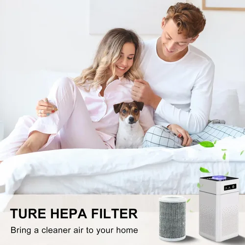 Miniatura 6 de Filtro de repuesto HEPA para purificador de aire compatible con filtro ZHIBO-C30 para filtros purificadores de aire ANB-VIHOSE-41021 (paquete de 2)