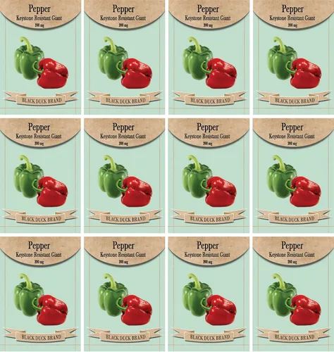 Miniatura 23 de Juego de 12 paquetes de semillas de verduras de roqueta de rúcula, crea un jardín de lujo, todas las semillas son reliquias, 100% sin OMG