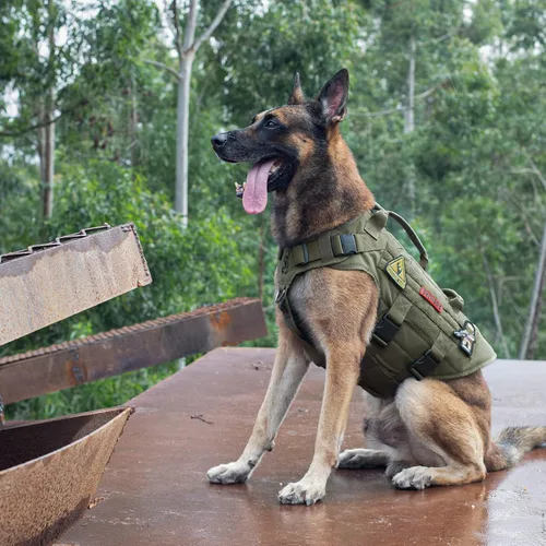 Miniatura 3 de OneTigris Arnés táctico grande para perros, arnés de chaleco ajustable sin tirones para perros, arnés de perro de servicio pesado X Destroyer