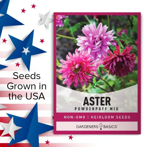 Miniatura 5 de Gardeners Basics Aster Powderpuff Mix Semillas de flores
