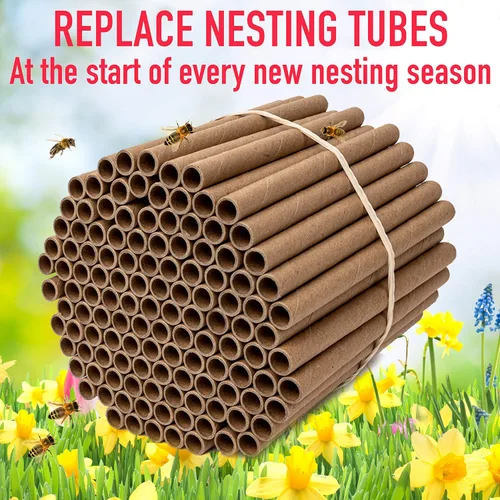 Miniatura 5 de Rivajam Paquete de repuesto de 125 tubos nidos de cartón Mason Bee House Colmena de abejas solitarias y suministros Kit de inicio y regalo