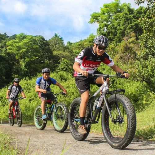 Miniatura 8 de Accmor Campana de Bicicleta Clásica, Campana de Bicicleta de Aluminio, Campana de Bicicleta de Sonido Fuerte Nítido y Claro para Adultos y Niños