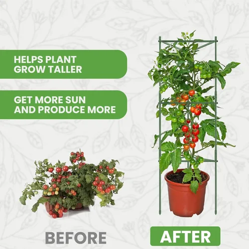 Miniatura 9 de Jaula de tomate – Estacas grandes de enrejado y estructuras de soporte para plantas para verduras y plantas trepadoras – Jaulas altas para tomate