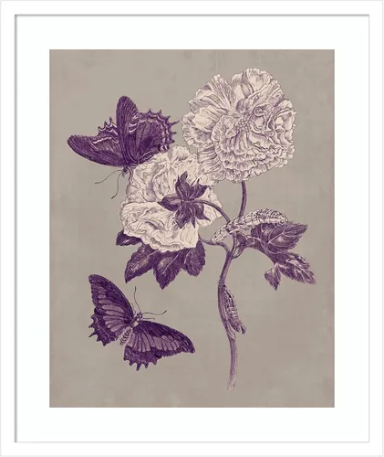 Miniatura 20 de Amanti Art Lienzo decorativo para pared, 24 x 20 pulgadas, estudio de la naturaleza en ciruela y gris pardo IV por Maria Merian, arte de pared