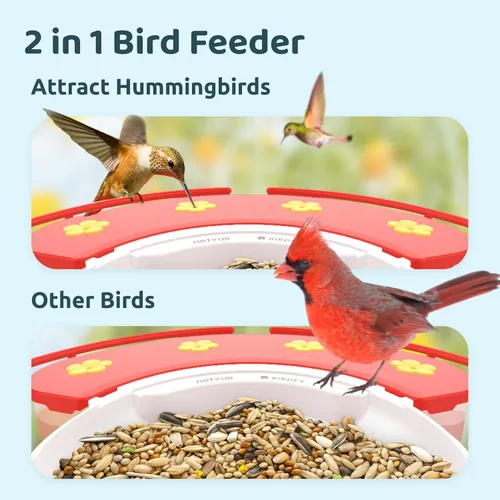 Miniatura 5 de NETVUE Birdfy® Hummee - Comedero inteligente para colibríes con cámara, videos de aves de captura automática y observación de aves de cerca, Azul