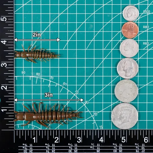 Miniatura 2 de Dr.Fish Paquete de 8/20 señuelos de pesca suave Hellgrammite cebo de gusano de 2 ''/3 pulgadas de agua dulce Bass Pesca Señuelos de plástico Grub
