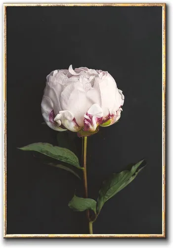 Miniatura 15 de Lienzo de diente de león en blanco y negro, diseño vintage de diente de león, póster de plantas en blanco y negro, pintura de lienzo de flores