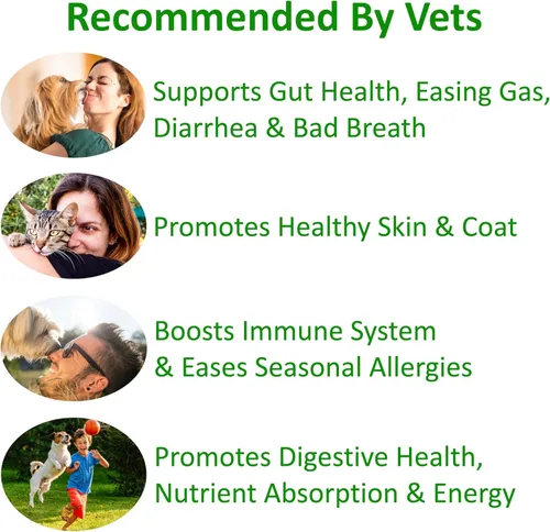 Miniatura 3 de Probióticos para perros y gatos TummyWorks El mejor polvo para aliviar diarrea, infecciones, prurito, comezón, alergías de piel y mal aliento.