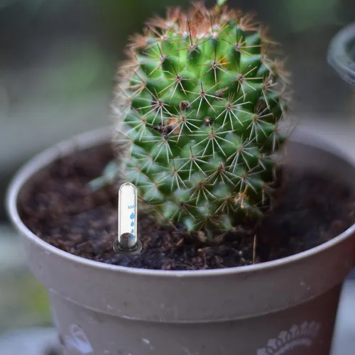 Miniatura 6 de BESTOYARD Indicador de agua para plantas en macetas para uso en interiores y exteriores, medidor de humedad del suelo con escala transparente