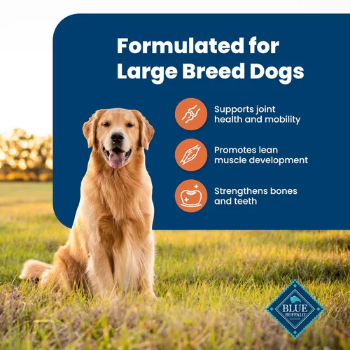 Miniatura 4 de Blue Buffalo Life Protection Formula Large Breed Adult Dry Dog Food, promueve la salud de las articulaciones y los músculos magros, hecho