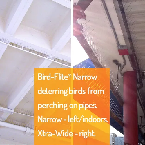Miniatura 4 de Bird Barrier Bird-Flite - Espigas para pájaros de acero inoxidable Tiras de pines de metal con base de plástico, adhesivo transparente incluido