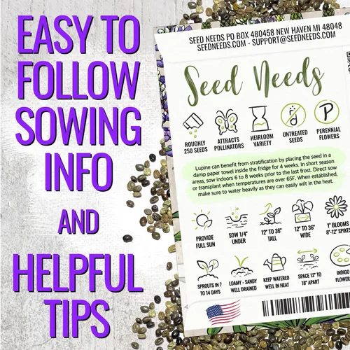 Miniatura 4 de Seed Needs Semillas silvestres perennes de altramuces para plantar reliquias y flores polinizadas abiertas, flores atractivas perfectas para un
