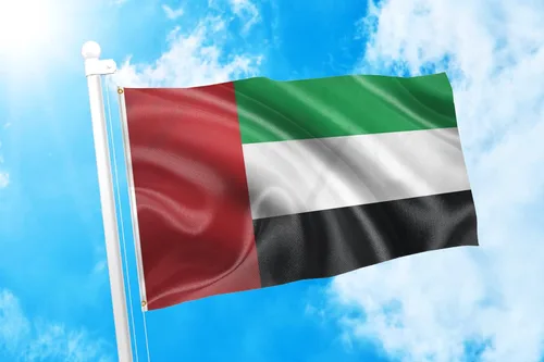 Miniatura 149 de DMSE Bandera de Sierra Leona 3X5 Pies 100% Poliéster Bandera 100D 47-91 x 152 cm
