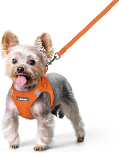 Miniatura 109 de rabbitgoo Juego de arnés para perro de tamaño pequeño y correa, chaleco ligero suave para cachorro, arnés de malla transpirable para mascotas