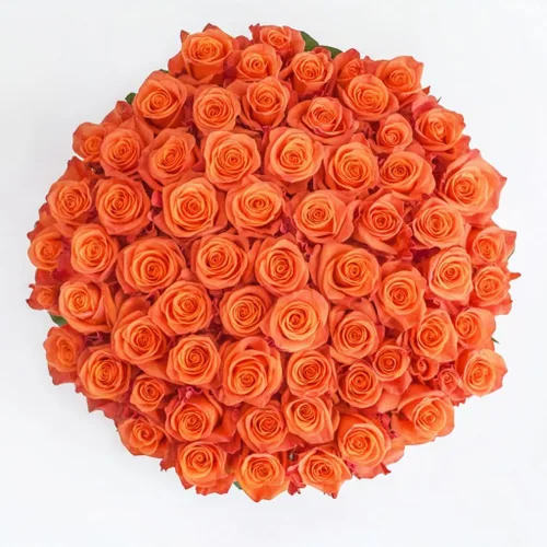 Miniatura 31 de GlobalRose Ramo de 100 Rosas Melocotón - Rosas de Origen Responsable Flores Frescas - Ramo Fresco de Flores Seleccionadas a Mano para Graduación