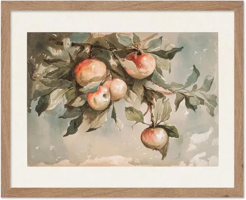 Poster Master Póster vintage de estudio de manzanas, impresión retro de frutas muertas - Arte de acuarela - Arte de frutas - Regalo para hombres y