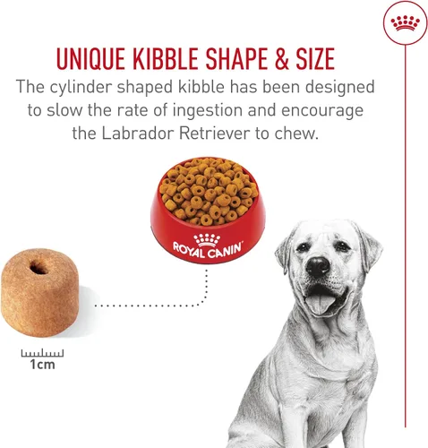 Miniatura 3 de Royal Canin Breed Health Nutrition Labrador Retriever - Alimento seco para perros adultos, bolsa de 5 libras