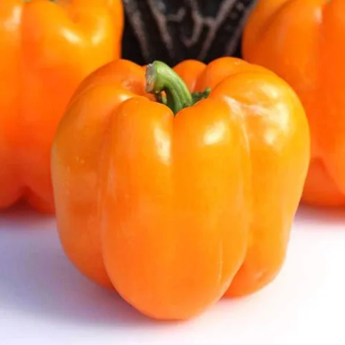 Orange King - Semillas de pimiento morrón – 1 onza ~ 3,360 semillas – sin OMG, polinizado abierto, reliquia, semillas de jardinería vegetal –
