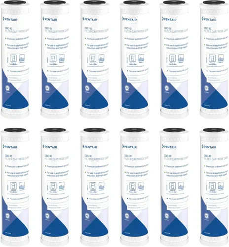 Pentair Pentek CBC-10 Filtro de Agua de Carbón, 10 Pulgadas, Cartucho de Repuesto de Bloque de Carbón Bajo Fregadero con Filtro de Carbón Activado