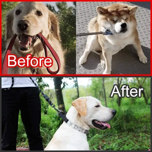 Miniatura 7 de Collar de punta para perro, collar de entrenamiento ajustable para perros con hebilla de liberación rápida para perros pequeños, medianos y grandes