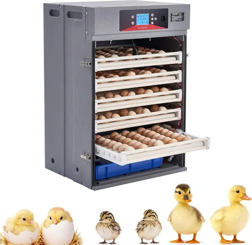 Miniatura 14 de VEVOR Incubadora de 36 huevos, incubadora automática con volteador de huevos y candelero LED y bandeja de agua, control de temperatura y humedad