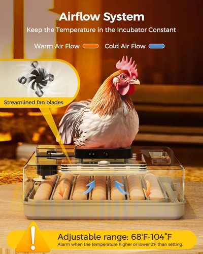 Miniatura 4 de Incubadora de 48 huevos para eclosionar con giro automático de huevos y control de humedad, vela de huevos, incubadora de huevos de aves de corral