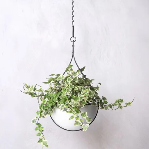 Miniatura 7 de Hajia Maceta colgante en forma de gota de agua, colgador de plantas de metal con maceta no desmontable, soporte para plantas colgantes