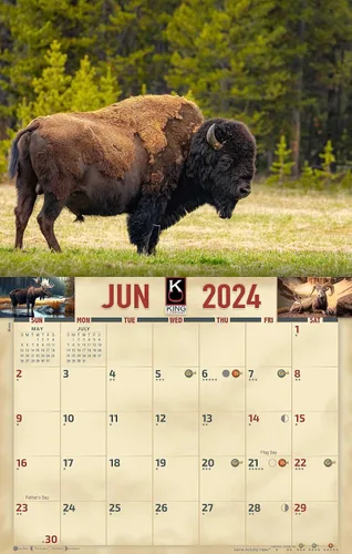 Miniatura 4 de The KING Company-Monster Calendars - Calendario de pared 2024 con vida silvestre de América del Norte, 16 meses, tamaño XL, 14 x 22 pulgadas
