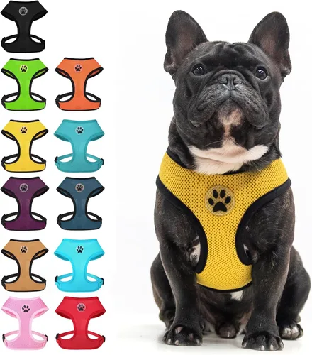 Miniatura 16 de BINGPET Arnés para perro sin tirones, arnés de chaleco tipo step-in de malla para todo clima para perros pequeños, arnés de malla transpirable