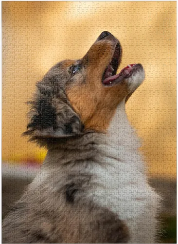 Miniatura 8 de MyPuzzle Aussi Puppy - Rompecabezas prémium de 100 piezas, fabricado en Estados Unidos