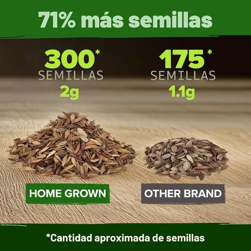 Miniatura 3 de HOME GROWN Semillas de zinnia rosa – 300 zinnias Luminosa 0.5g, semillas anuales de flores fáciles de cultivar para plantar al aire libre para 2026
