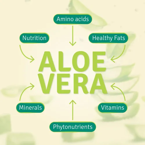 Miniatura 6 de Aloe Life - Fórmula Stomach Plus, tónico de acción rápida para niños, adultos y personas mayores, apoya la digestión saludable y ayuda a calmar