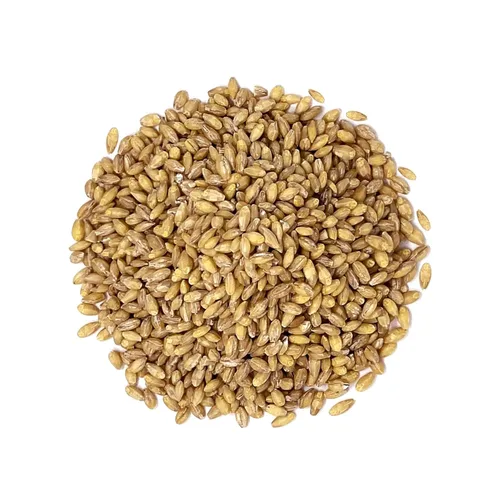 Miniatura 3 de Food to Live Grano de cebada descascarada, 1 libra, 100% grano entero, vegano, ideal para hornear en casa, elaboración de cerveza, molienda. Rico
