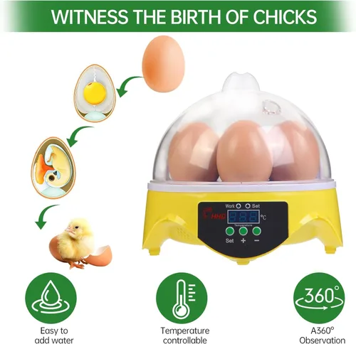 Miniatura 7 de Mini incubadora de huevos de 7 huevos con vista de 360°, kit educativo para eclosionar para niños, aulas y familias, control automático