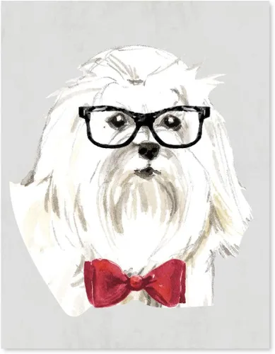 Miniatura 18 de Andaz Press Póster impreso para pared de perro, 8.5 x 11 pulgadas, Shih Tzu en lazo rosa, 1 paquete, regalo de cumpleaños de Navidad, sin marco